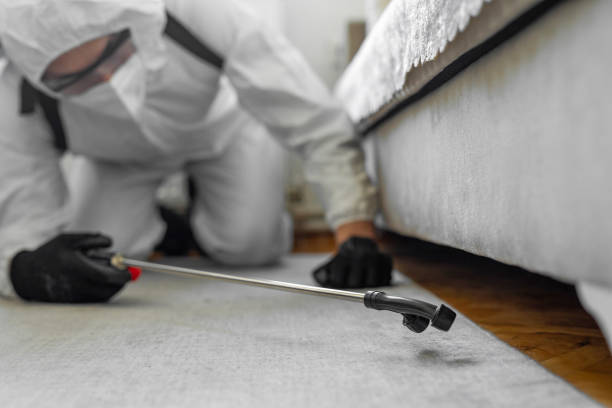 Professional Fumigation Services technician working in Palm Beach Shores, FL