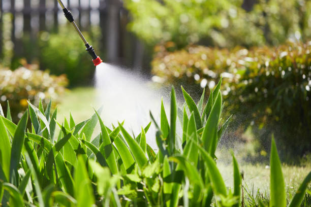 24/7 Emergency Fumigation Services experts in Palm Beach Shores, FL