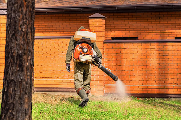 Trusted Mosquito Control service in Palm Beach Shores, FL - Nex Pest Control